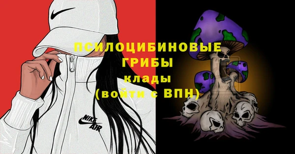 spice Заволжск